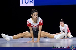 j mp turkey 1 tur ph ferraro sfa 7784 copia